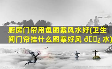厨房门帘用鱼图案风水好(卫生间门帘挂什么图案好风 🌿 水)